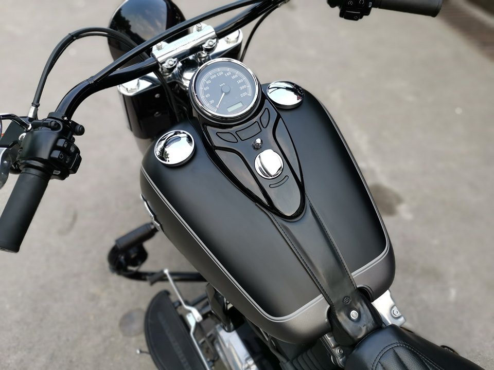 Harley Davidson Slim 2016